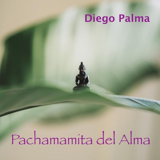 Album cover art for Pachamamita del alma