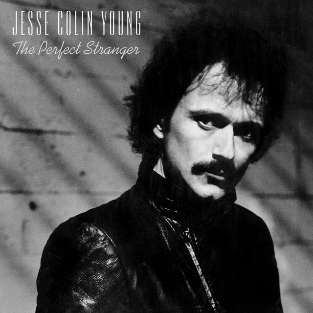 Album cover art for The Perfect Stranger