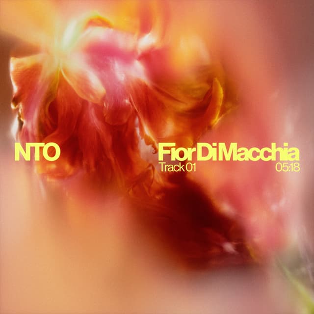 Album cover art for Fior Di Macchia