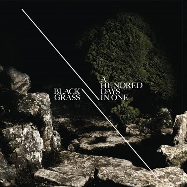 Album cover art for A Hundred Days In One