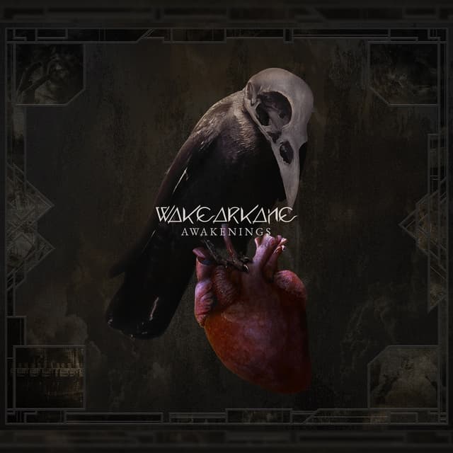Album cover art for Awakenings