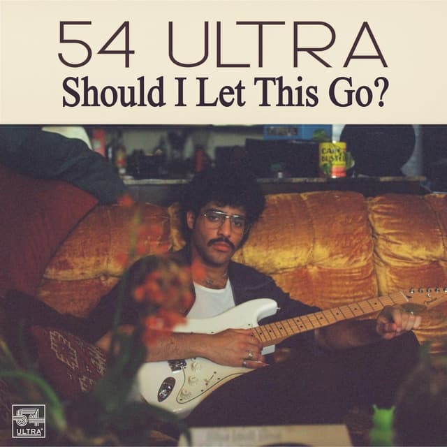 Album cover art for Should I Let This Go?