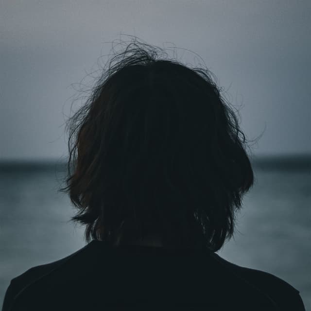Album cover art for Idea 20