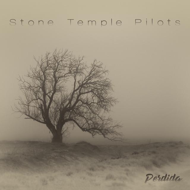 Album cover art for Perdida