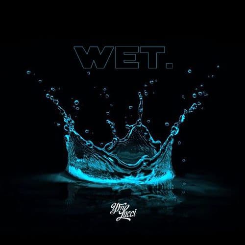 Album cover art for Wet (She Got That…)