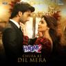 Chura Ke Dil Mera
