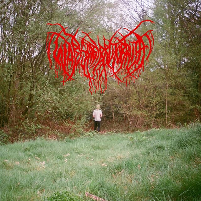 Album cover art for wabi sabi bruto bruta