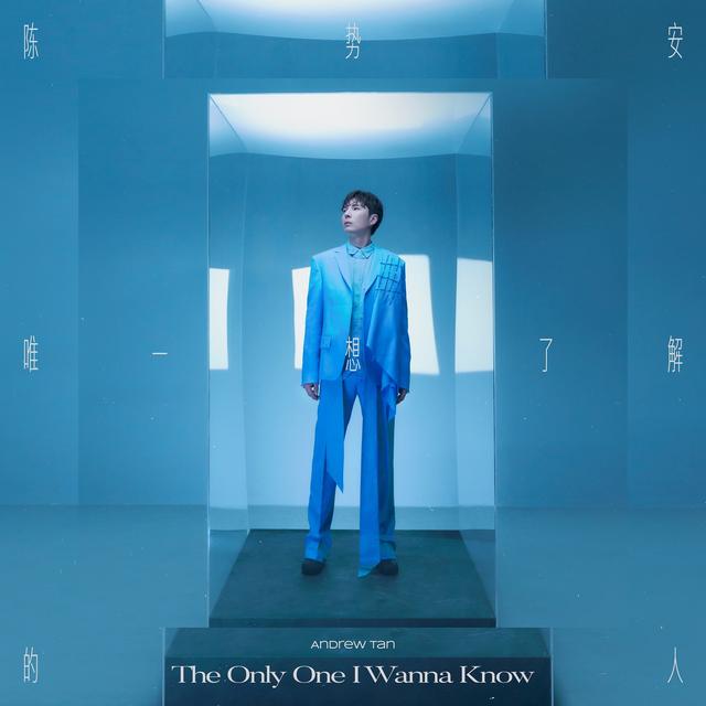 Album cover art for 唯一想了解的人