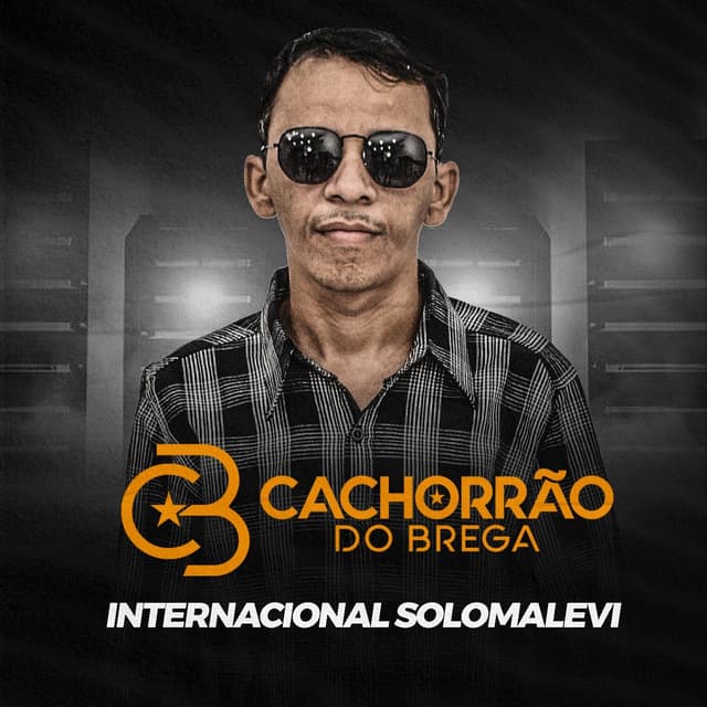Album cover art for Internacional Solomalevi