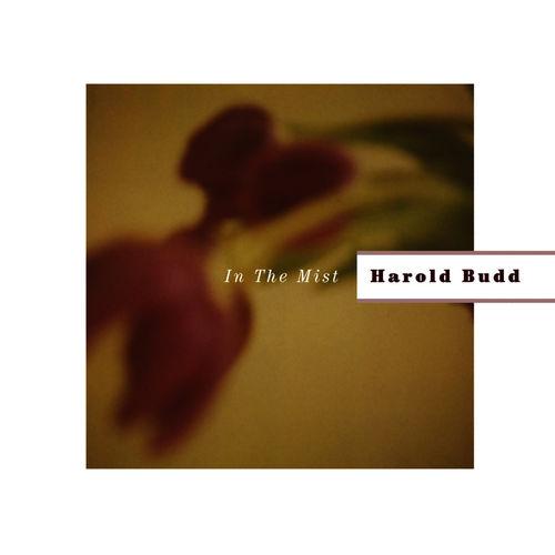 Album cover art for In the Mist