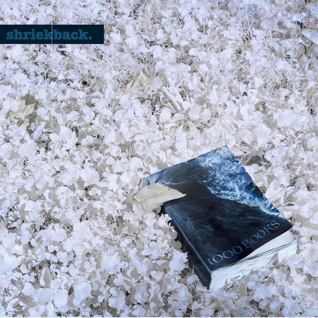 Album cover art for 1000 Books