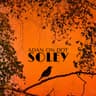cdan on Dot Soley