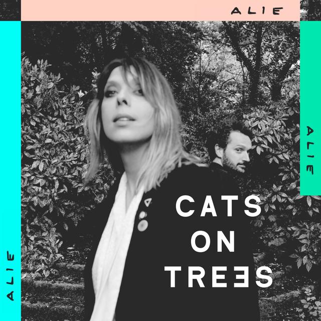 Album cover art for Alie