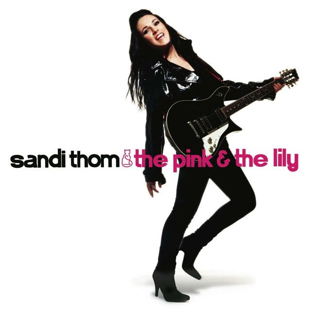 Album cover art for The Pink & The Lily