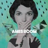 Album cover art for Ames Room