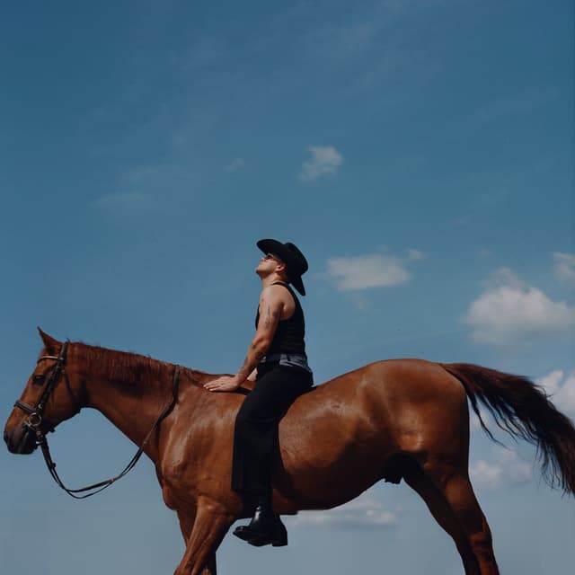 Album cover art for The South's Got Something To Say