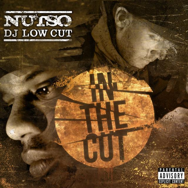 Album cover art for In The Cut