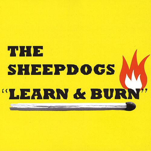 Album cover art for Learn & Burn
