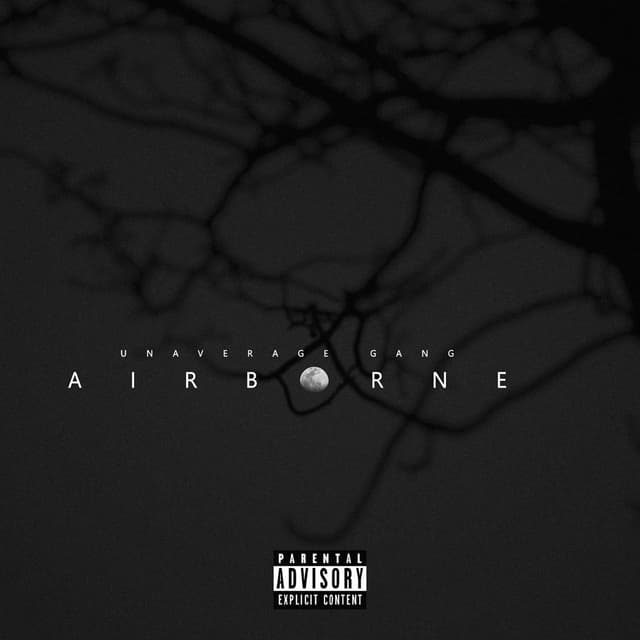 Album cover art for Airborne
