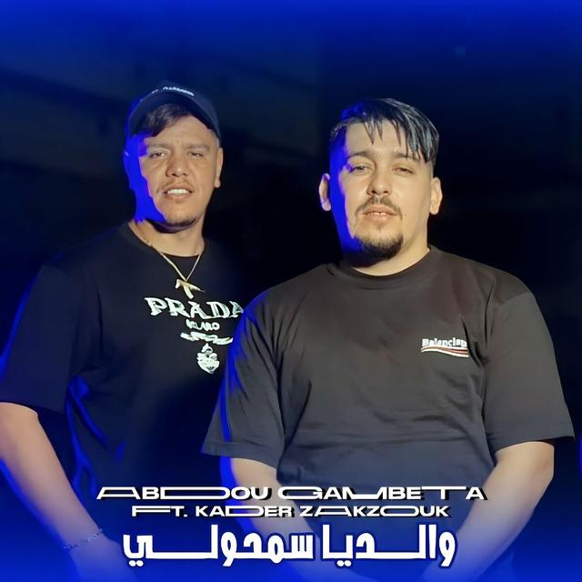 Album cover art for Waldiya Samholi