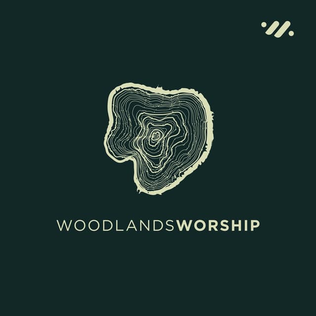 Album cover art for Live