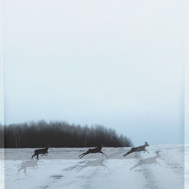 Album cover art for Песни