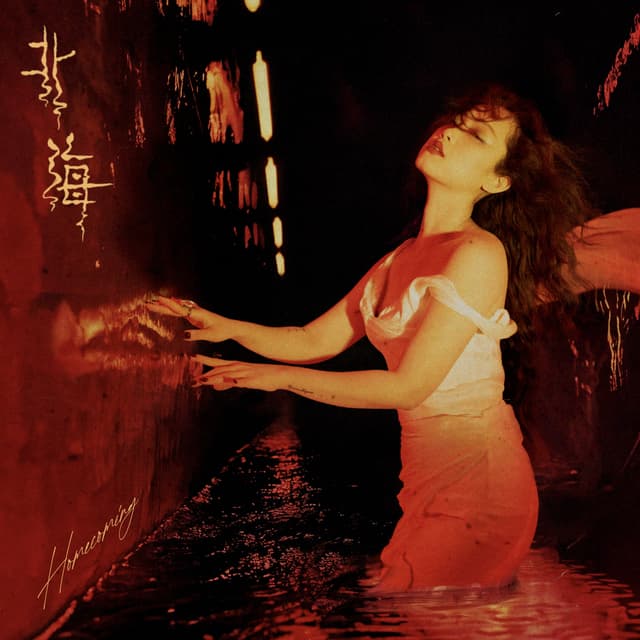 Album cover art for 北海 Homecoming