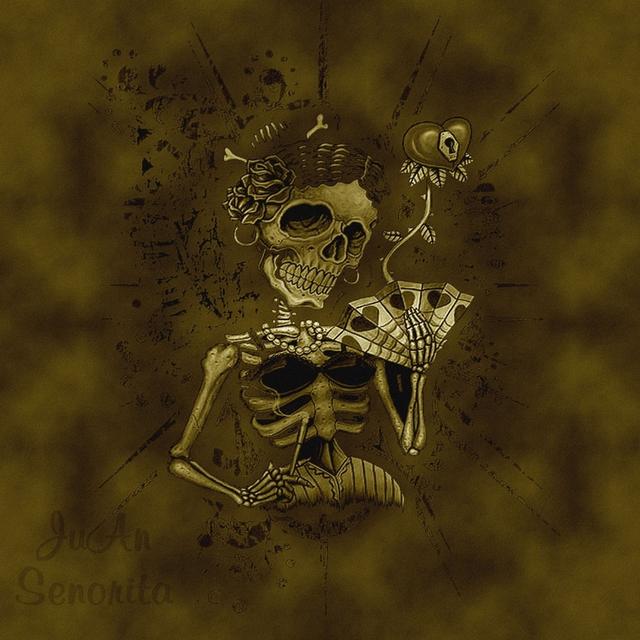 Album cover art for Senorita