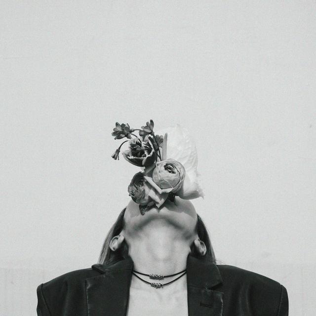 Album cover art for sublimated