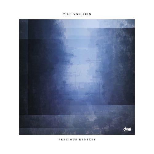 Album cover art for Precious (Remixes)