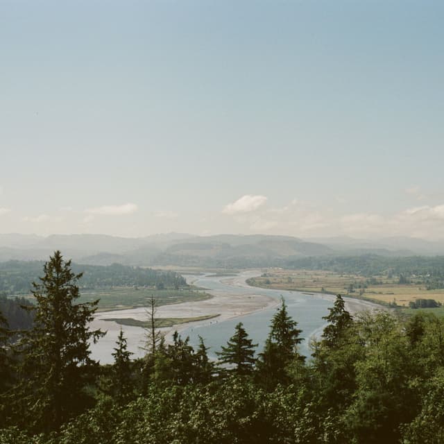 Album cover art for Anchor