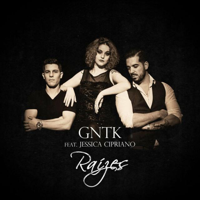 Album cover art for Raízes