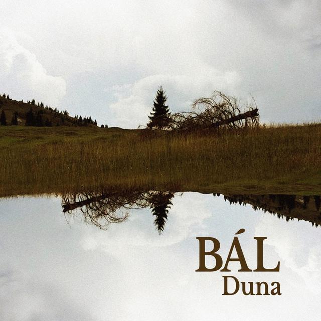 Album cover art for Duna
