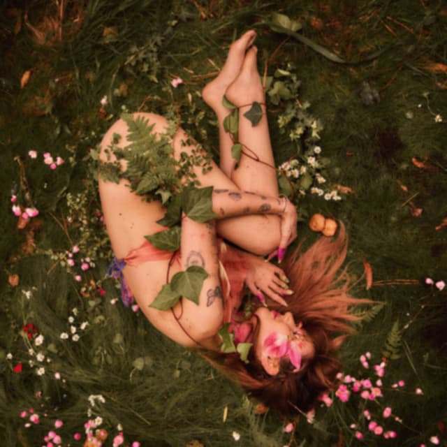 Album cover art for Porcelain