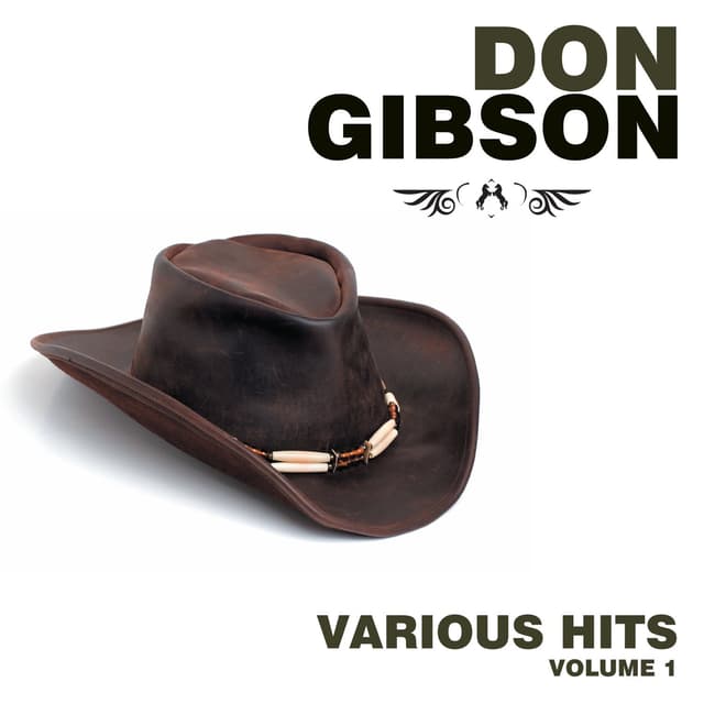 Album cover art for Various Hits Volume 1 & Volume 2