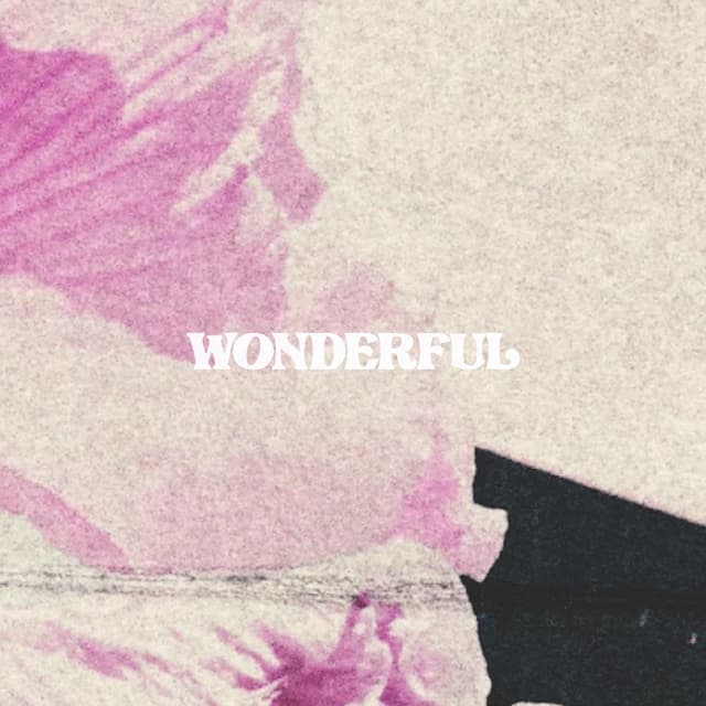 Album cover art for Wonderful