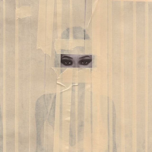 Album cover art for HABIBTI
