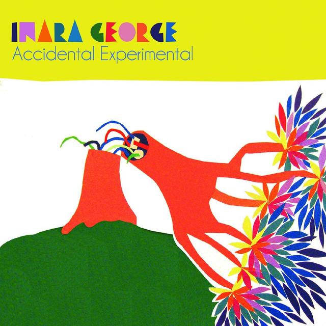 Album cover art for Accidental Experimental