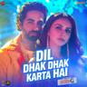 Dil Dhak Dhak Karta Hai