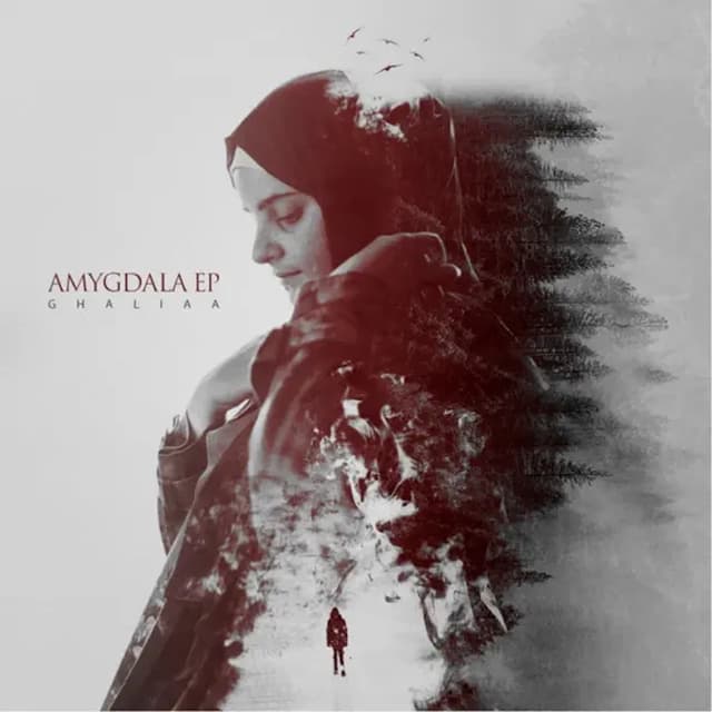 Album cover art for Amygdala
