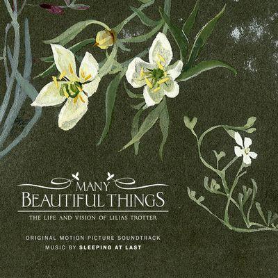 Many Beautiful Things [B.O.F.]