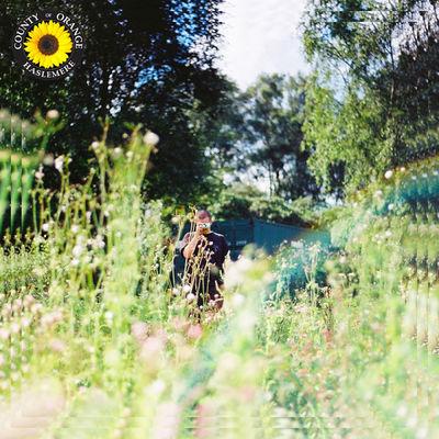 Album cover art for Sunflower