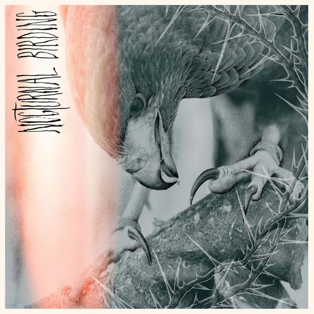 Album cover art for Nocturnal Birding
