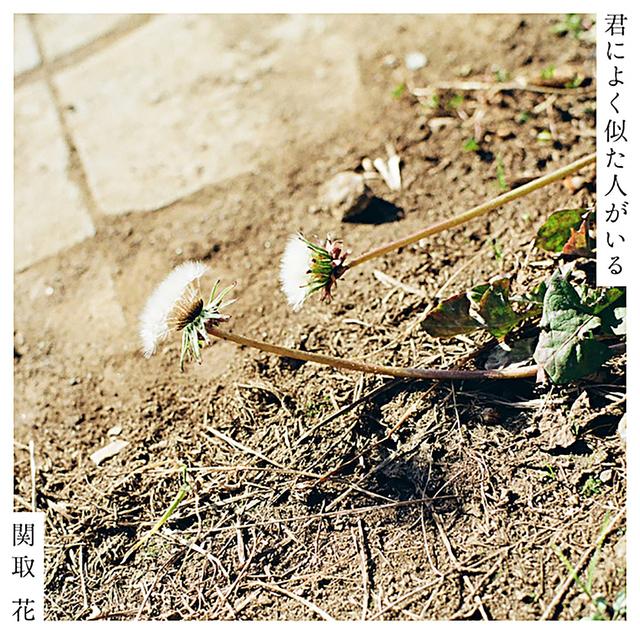 Album cover art for KIMI NI YOKU NITA HITO GA IRU