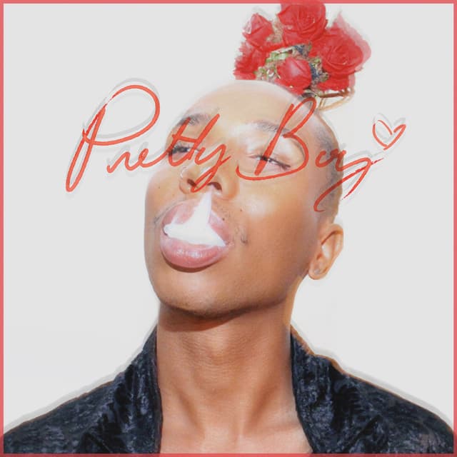 Album cover art for Pretty Boy