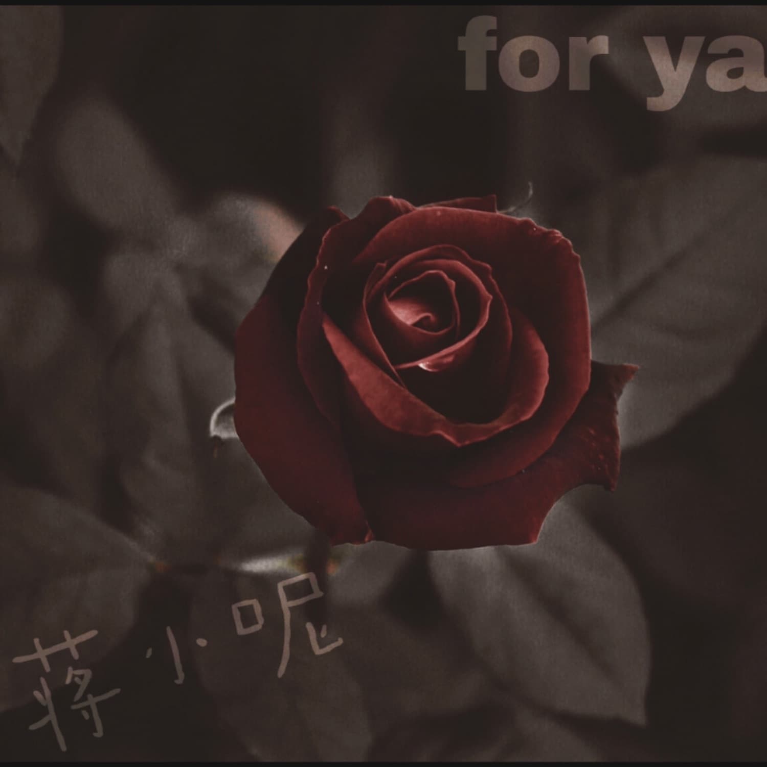 Lyric cover art