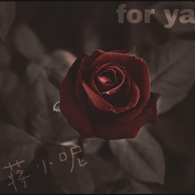 Album cover art for for ya