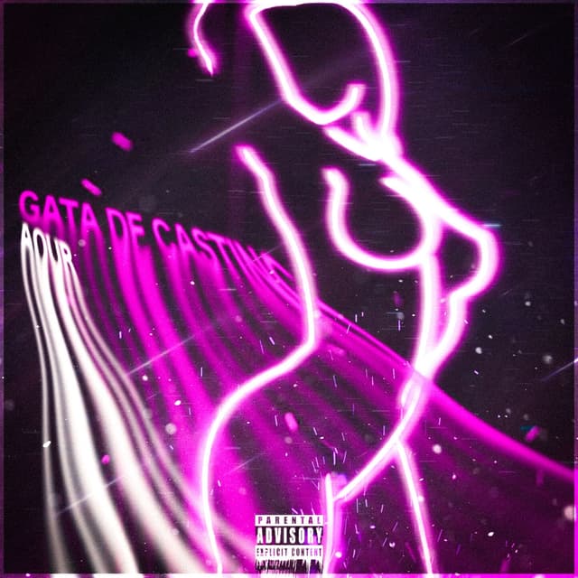Album cover art for GATA DE CASTING