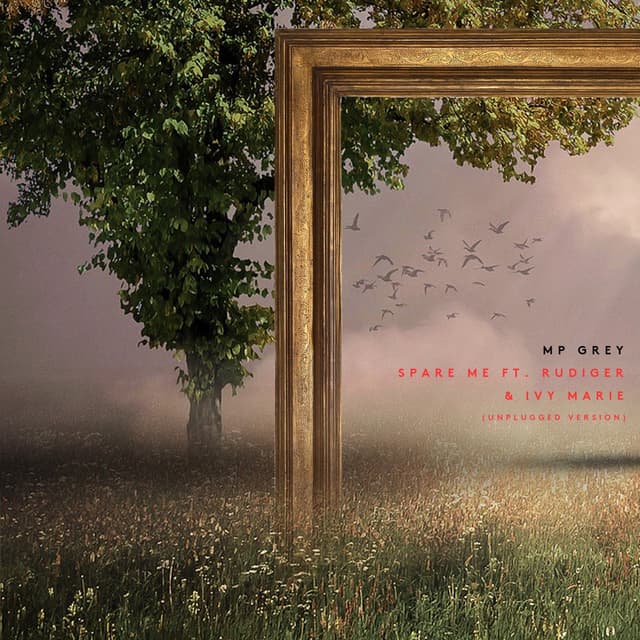 Album cover art for Spare Me (unplugged version)