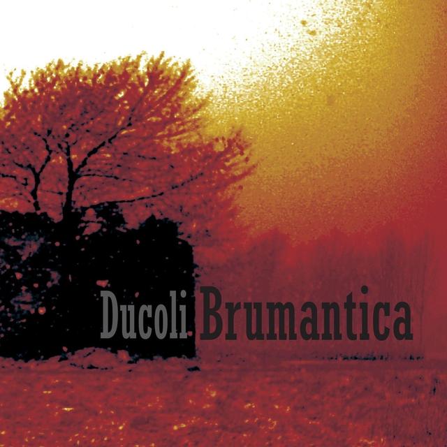 Album cover art for Brumantica